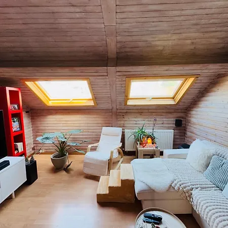 Beautiful Cozy Duplex Apartment Brussels