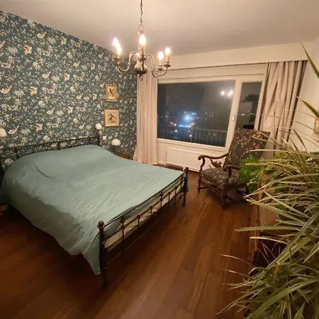 Luxurious Duplex Overlooking アパート ブリュッセル