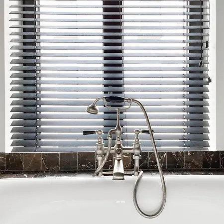 Teddy Picker Проживание в семье