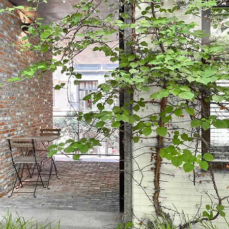 Homestay Teddy Picker Brussels