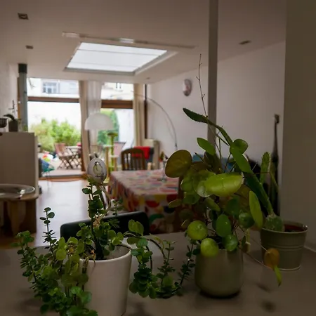 Eya House, Cozy, Bright & Well Located ブリュッセル