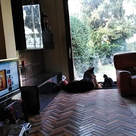 Mouzon'S House בית אירוח *