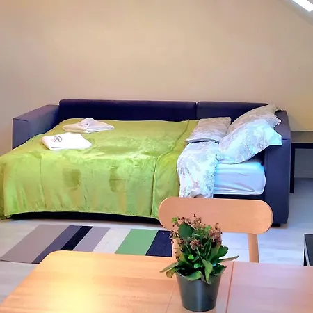 Comfortable Mini Loft In The Heart Of Apartman Brüsszel