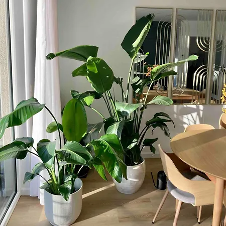 Stylish Flat,90m2, In A Great Location Apartamento