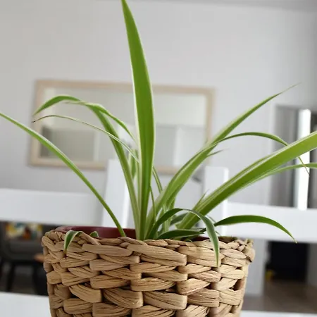 Flats Apartman