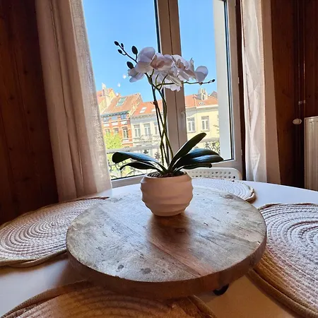 公寓 Beautiful Cozy Duplex *