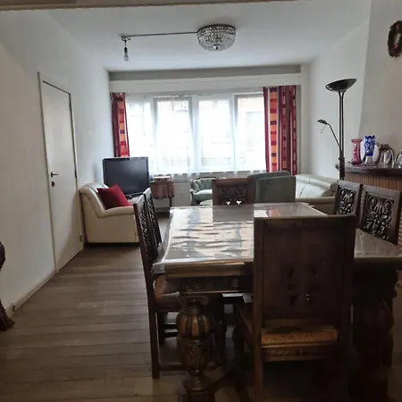 Large 1st Floor Apartment, Schaerbeek, شقة