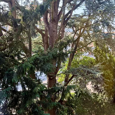 Atomium Canopy * 布鲁塞尔