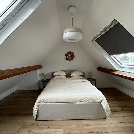 3- Duplex Lumineux Au Coeur D'ixelles アパート *