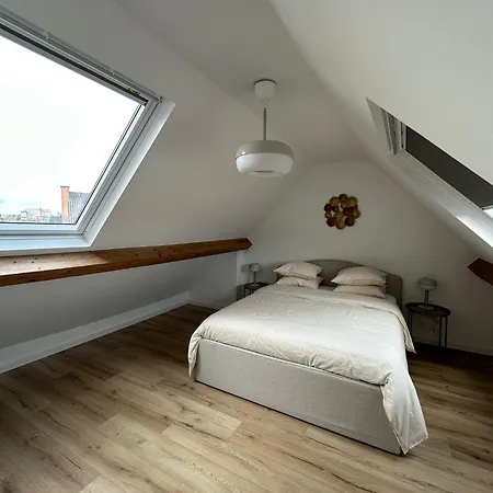 3- Duplex Lumineux Au Coeur D'ixelles *