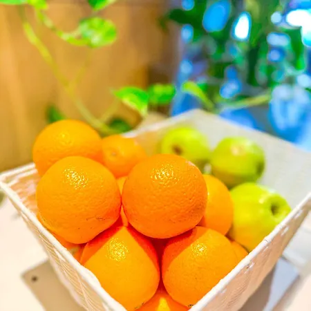 لو دوم فندق بروكسل