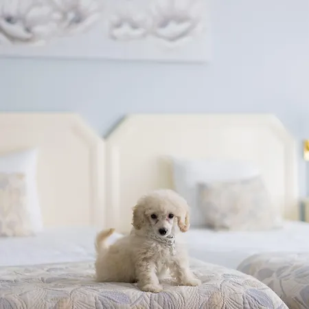 فندق فيرست يوروفلات 4*