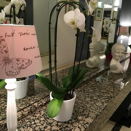 فيرست يوروفلات فندق بروكسل