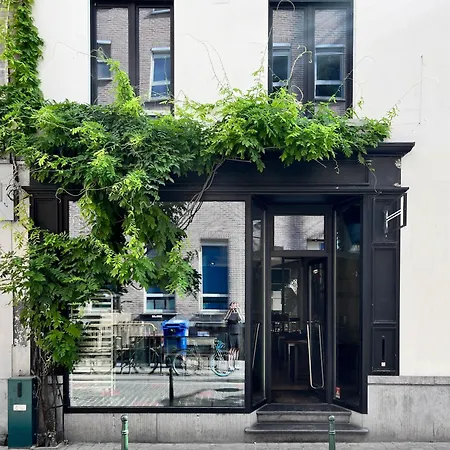 Teddy Picker Проживание в семье Брюссель