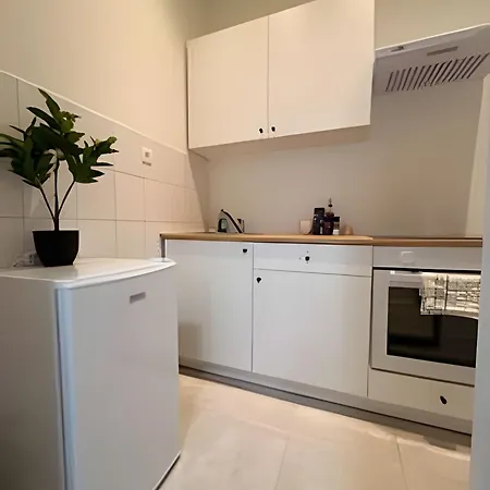 Comfortable 10 Min From Midi Station And 15 Min From Center Appartement Brussel