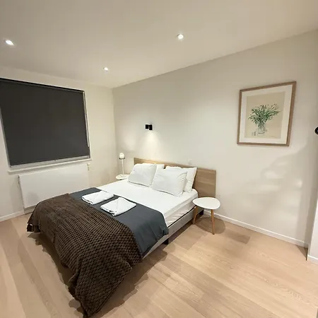 The Gallery Saint-gilles Homestay Brussels
