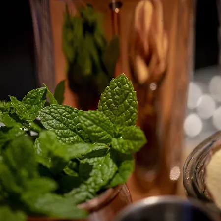 Otel Pestana Schuman