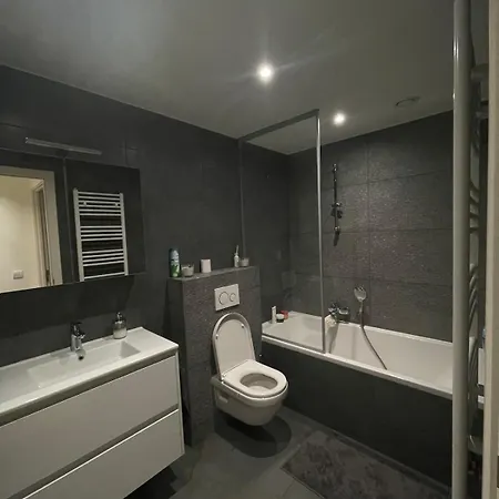 Refined With Terraces Apartment