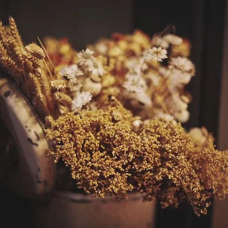 The Legacy By 2go4 Center * Brusel