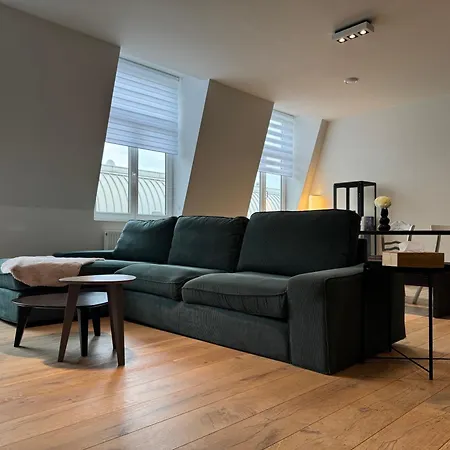 Spacious And Design Loft Brüksel