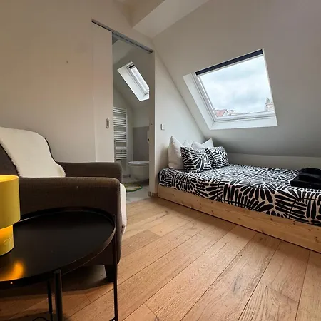 Daire Spacious And Design Loft