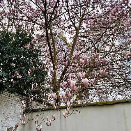 Cosy Eu - Central, Parking, Terrace 브뤼셀