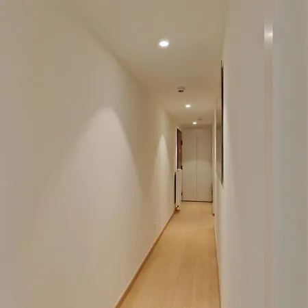Elegant 3-bedroom In Ixelles