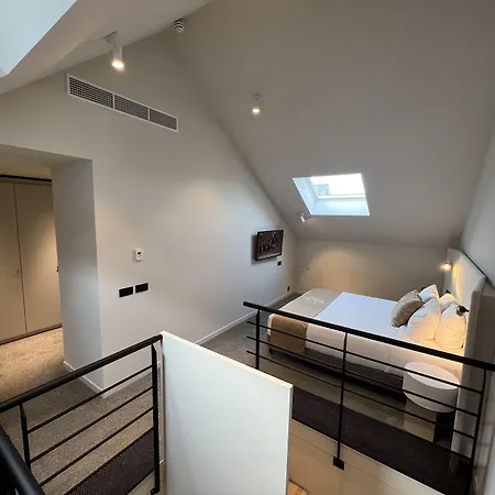 Opo ブリュッセル