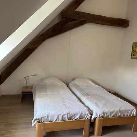 Oase In The Brüsszel