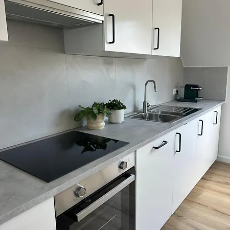 5- Nid Lumineux 2 Au Plein Coeur D'ixelles Βρυξέλλες