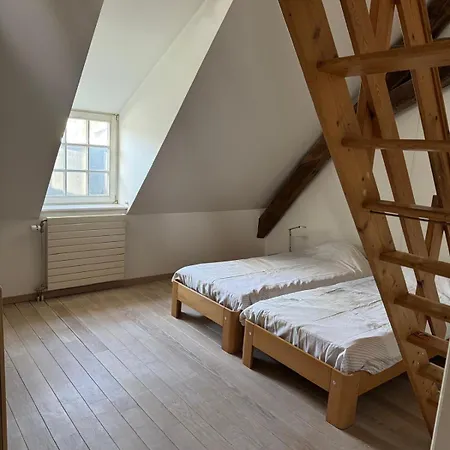 Oase In The Brüsszel