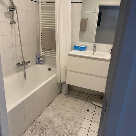 Oase In The Brüssel