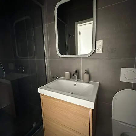 5- Nid Lumineux 2 Au Plein Coeur D'ixelles アパート