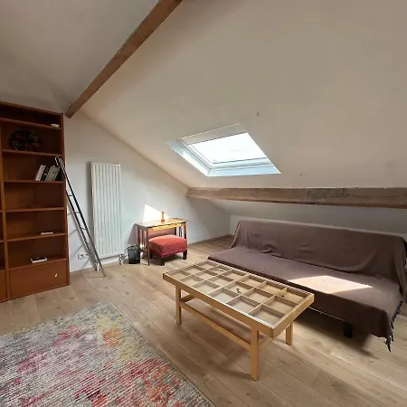 Big Cosy Family Duplex Near Grande Place * Brussels