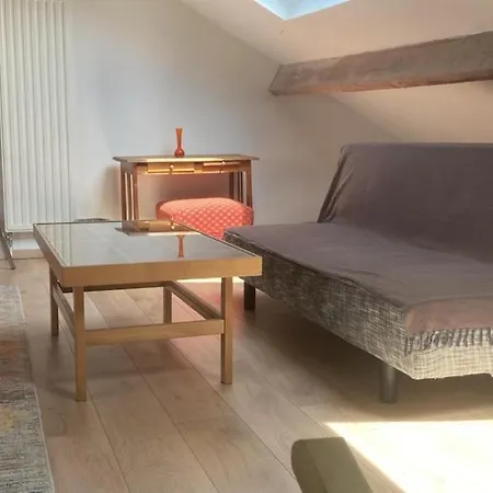 Big Cosy Family Duplex Near Grande Place Apartment *