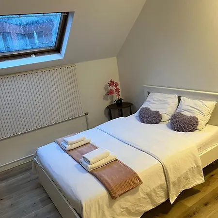 Albergue Bosquet * Bruxelas