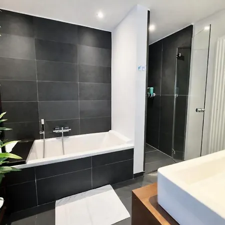 Luxury Loft Duplex Penthouse Of 190m2 & Free Parking !