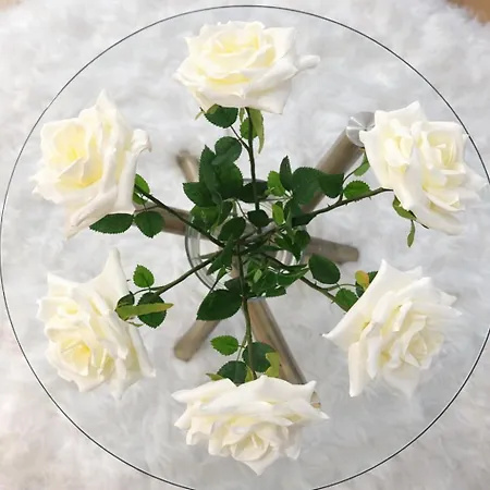 Luxury Loft Duplex Penthouse Of 190m2 & Free Parking ! شقة بروكسل