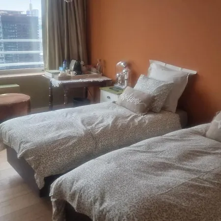 Romantics In Sky ゲストハウス ブリュッセル