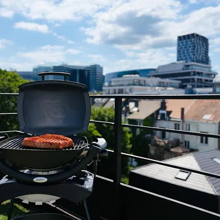 Appartement Stylish Penthouse In Bxl With 2 Panoramic Terraces Bruxelles
