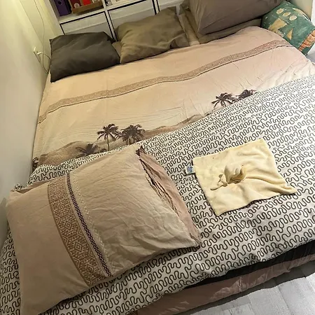 منزل للإقامة Petit Belle Chambre De A Bruxelles Midi بروكسل