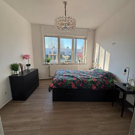 Modern In Brussels, Ground Floor Brussels