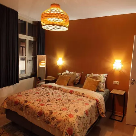 Cozy Renovated In Bruxelles