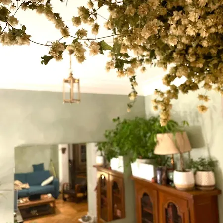 Spacious In Apartment Brussels