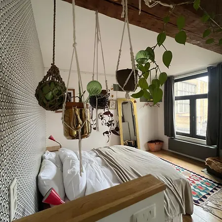 Cozy Studio-city Center *