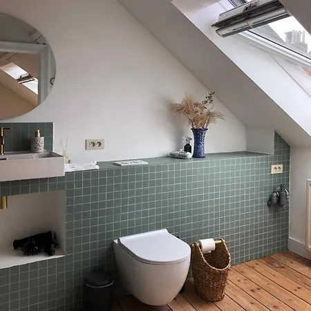 Penthouse In A Family House