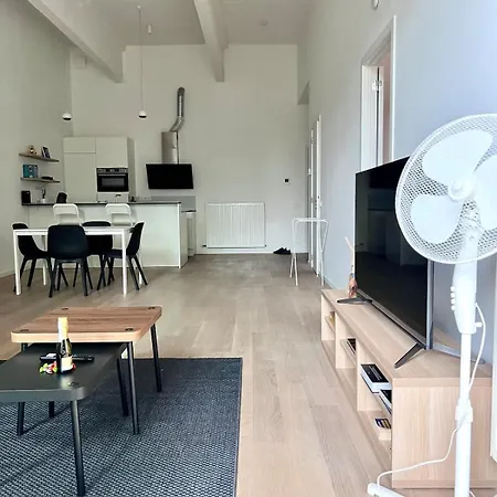 Bright Modern Loft In For 4 Lejlighed Bruxelles