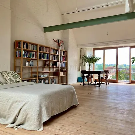 Penthouse In A Family House *