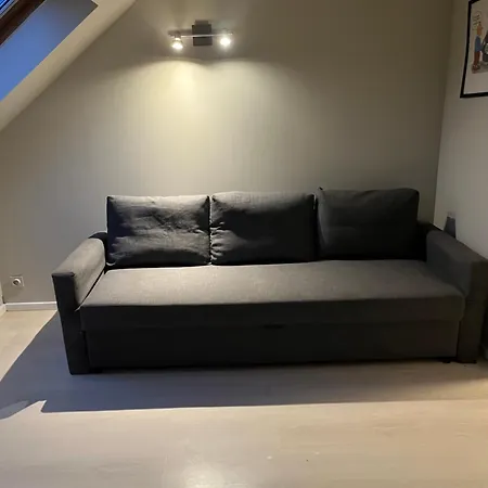 Center Flat Lejlighed