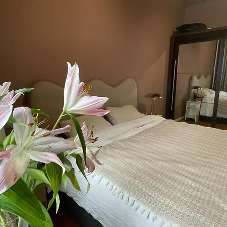 Spacious In * ブリュッセル